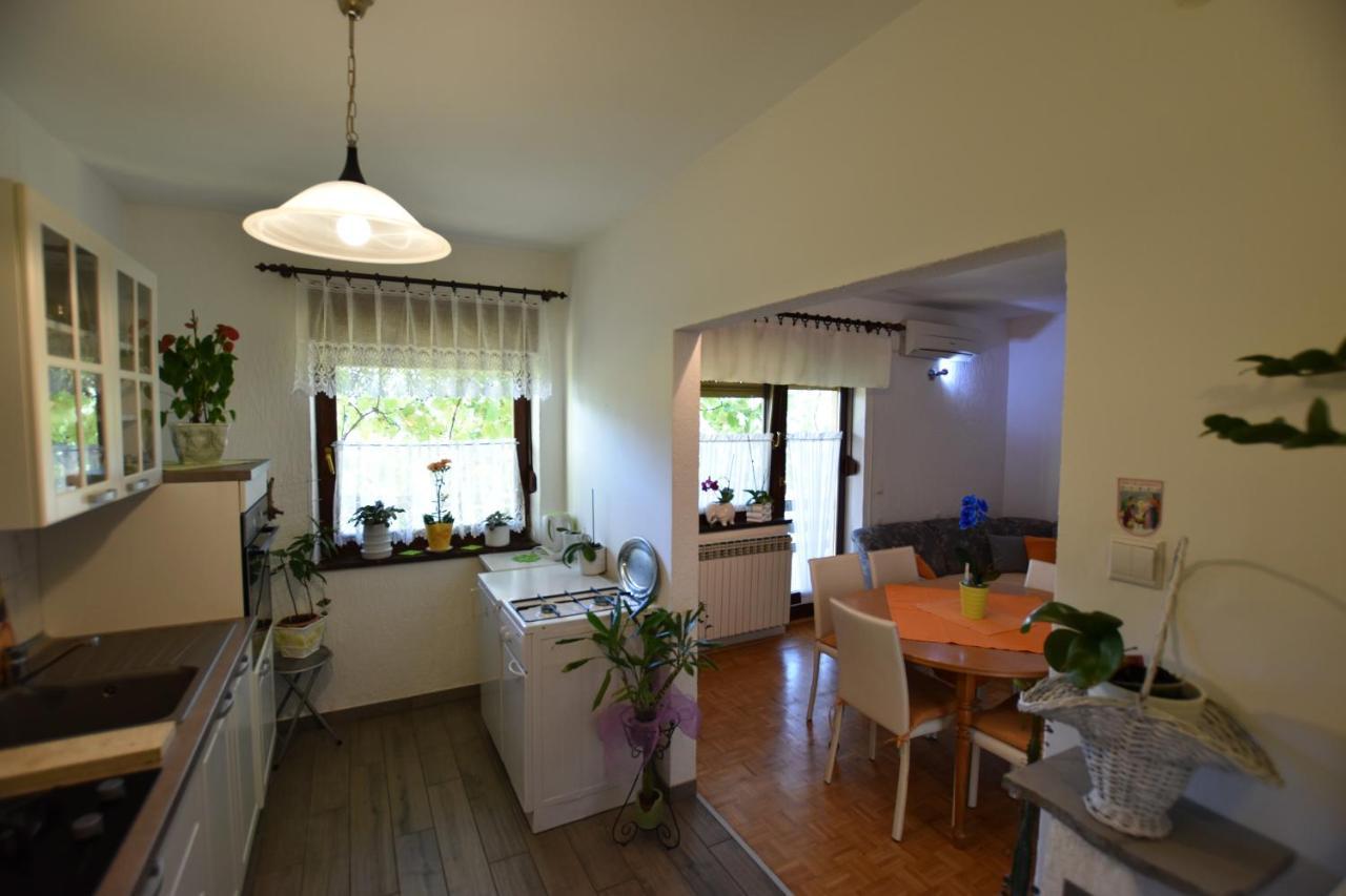 Apartments Frkovic Ledenice Εξωτερικό φωτογραφία