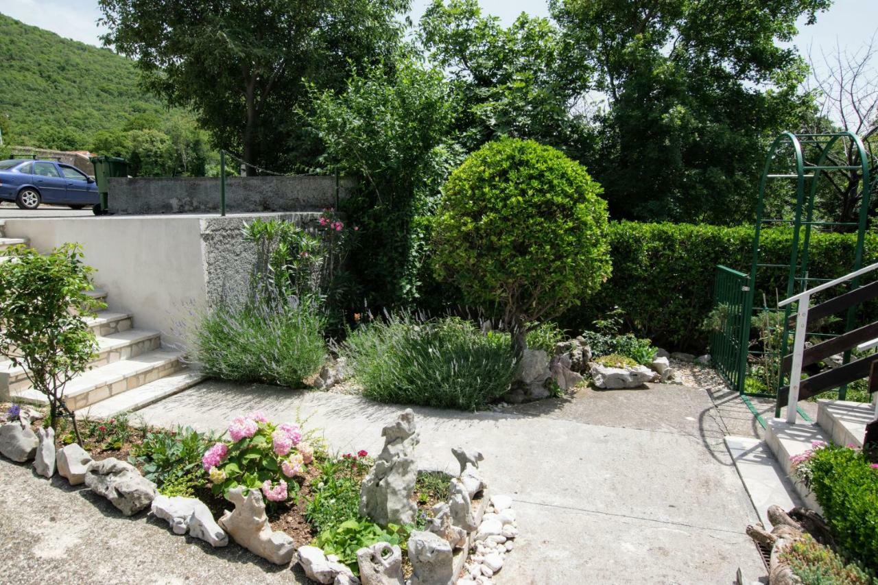 Apartments Frkovic Ledenice Εξωτερικό φωτογραφία
