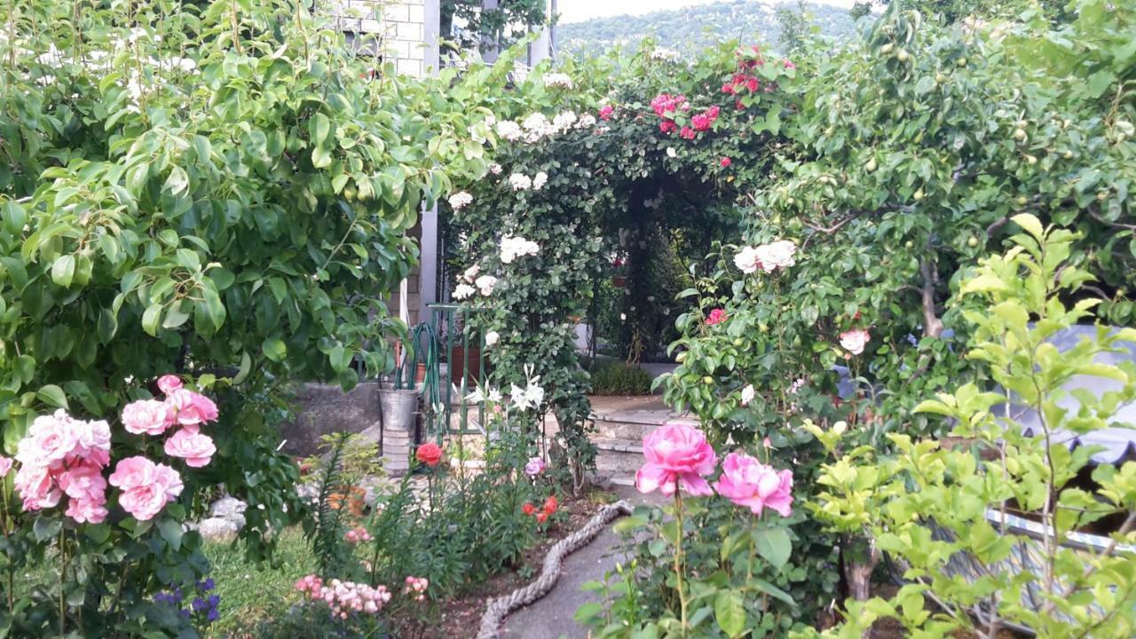 Apartments Frkovic Ledenice Εξωτερικό φωτογραφία