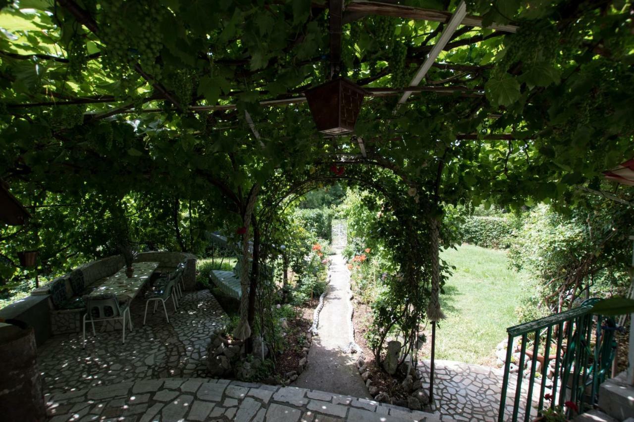 Apartments Frkovic Ledenice Εξωτερικό φωτογραφία