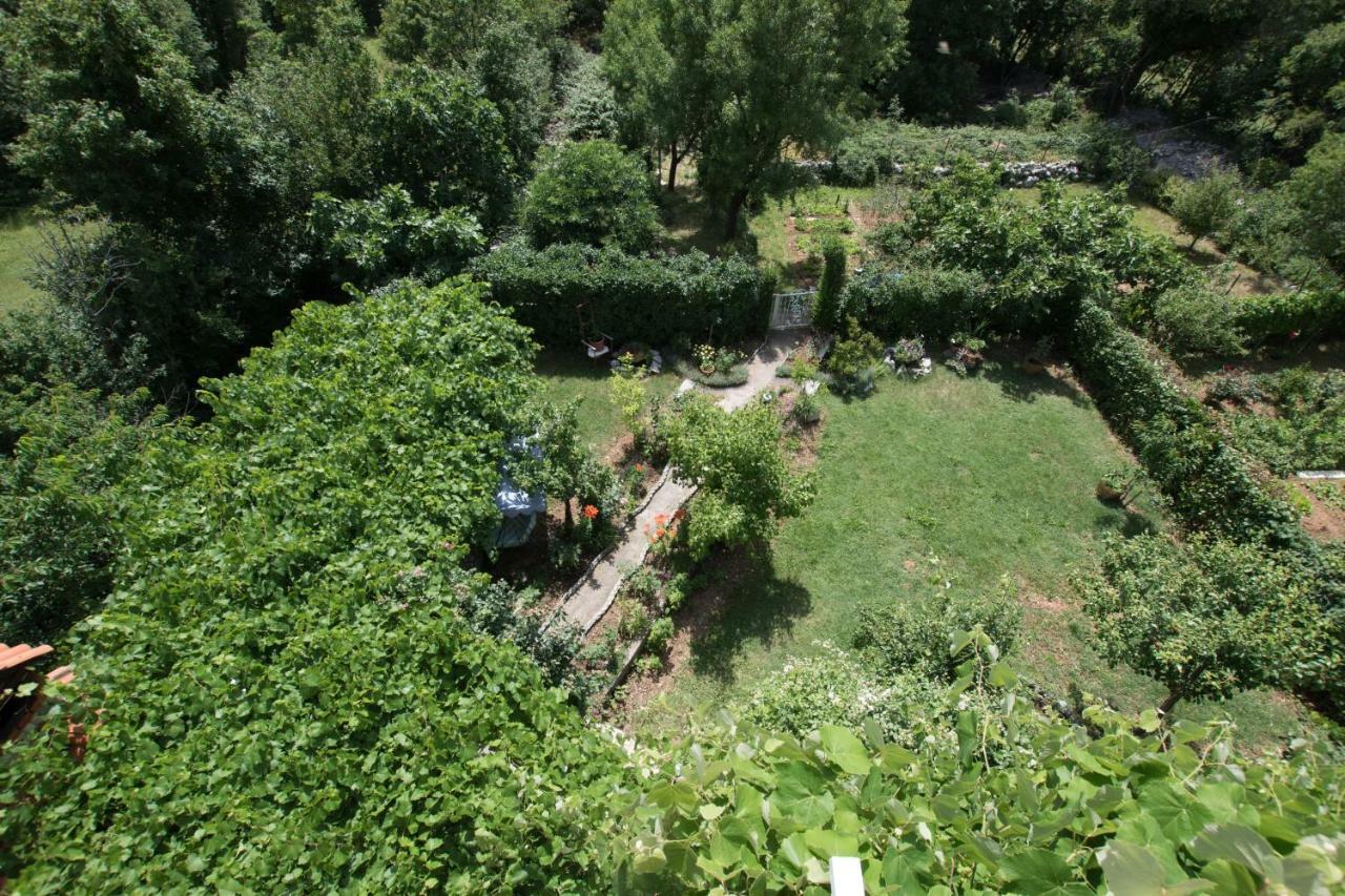 Apartments Frkovic Ledenice Εξωτερικό φωτογραφία