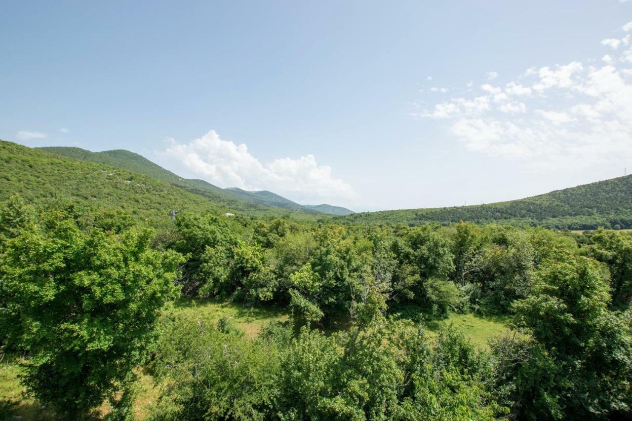 Apartments Frkovic Ledenice Εξωτερικό φωτογραφία