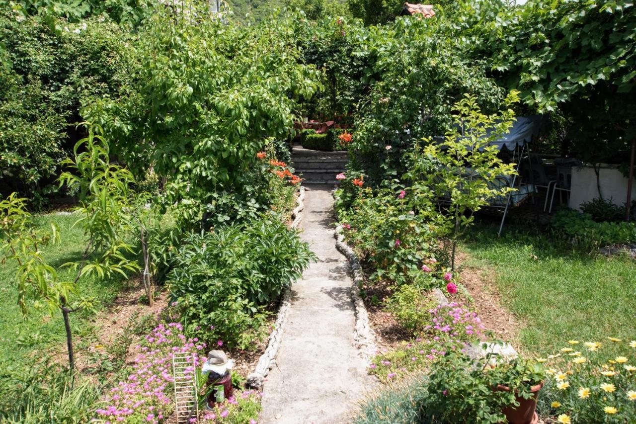 Apartments Frkovic Ledenice Εξωτερικό φωτογραφία