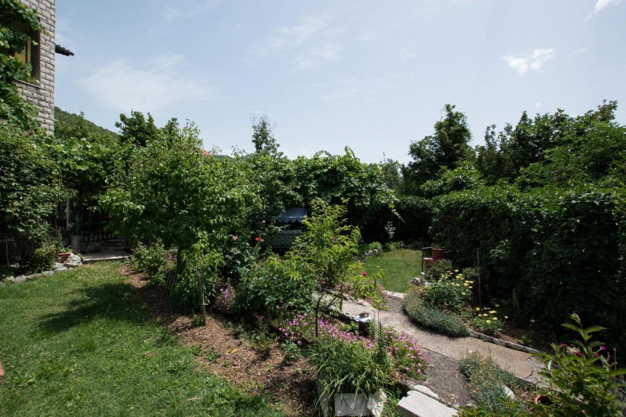 Apartments Frkovic Ledenice Εξωτερικό φωτογραφία